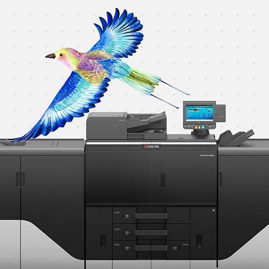 PRINTING United 2025 Kyocera, market leaders in commercial printing, will attend PRINTING United 2025